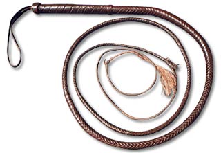 whip_1.jpg